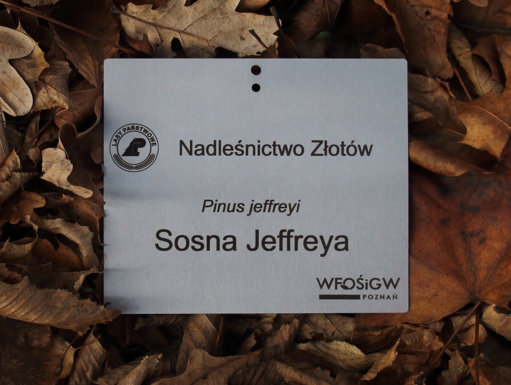 Záhradná plaketa/značka, nehrdzavejúca oceľ, gravírovaná laserom (85x60mm)